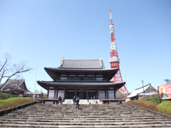 増上寺と東京タワー（地震で先が曲がってる）