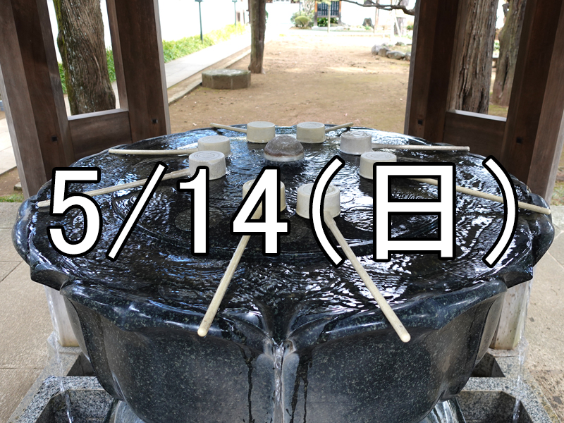 石神井公園と照姫まつり散策コン（東京）Over 40