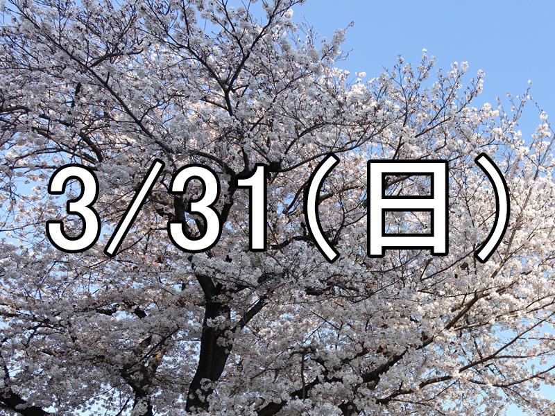 小松川千本桜と東大島散策コン（東京）Over 45