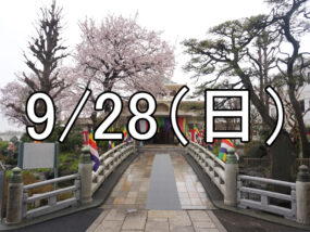 菅原神社のお祭りと下高井戸散策コン（東京）