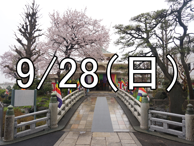 菅原神社のお祭りと下高井戸散策コン（東京）