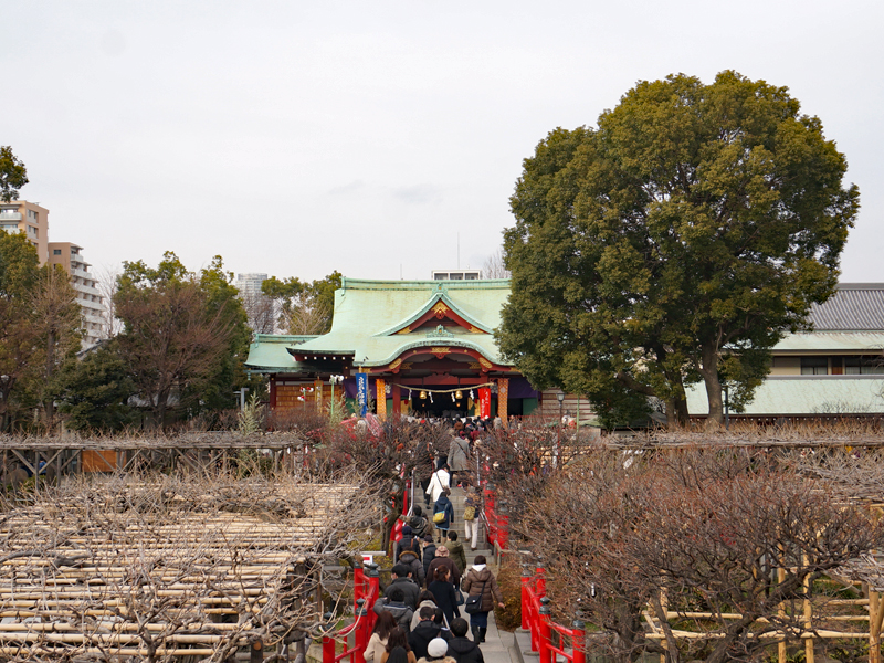 亀戸天神