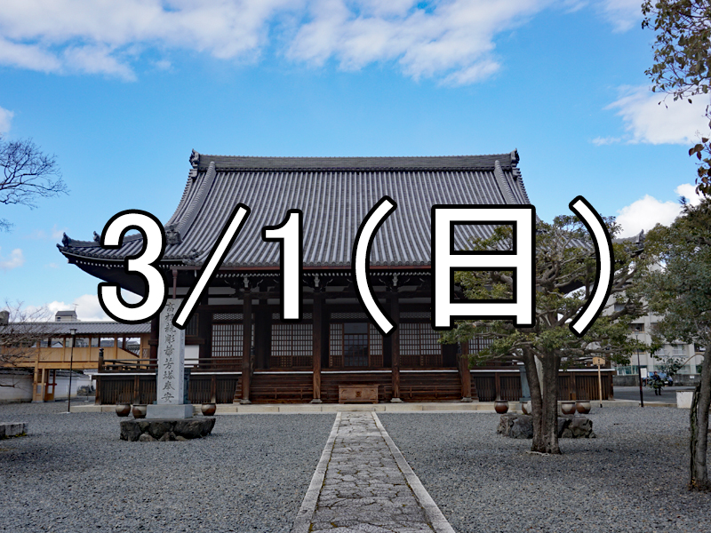 興聖寺の巨大達磨図特別公開と鞍馬口散策コン（京都）