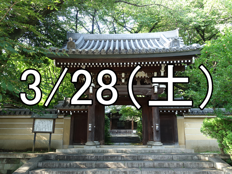 桜の名所・法明寺と池袋散策コン（東京）Over 40