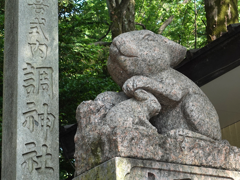 調神社のうさぎ