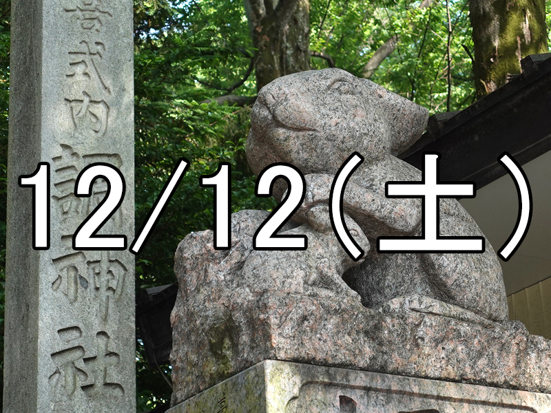 うさぎの調神社と十二日町コン（埼玉）